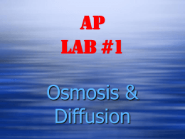 Lab #1 Diffusion / Osmosis