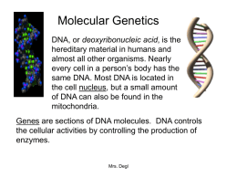 Molecular Genetics
