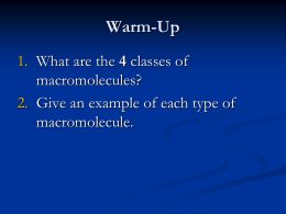 Macromolecules - Biology