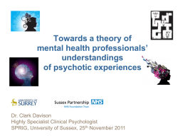 Towards a theory of mental health professionals` understandings of