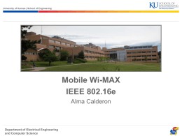 IEEE 802.16e - Amla Calderon