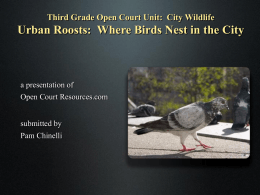 Urban Roosts - Open Court Resources.com