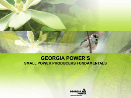 georgia power`s small power producers fundamentals