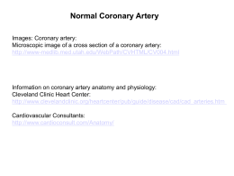 Coronary Artery Disease or Atherosclerosis