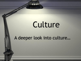 Ch 3 Culture