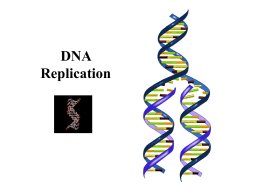 DNA Replication McGraw Hill DNA Replication Movies