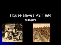 House slaves Vs. Field slaves