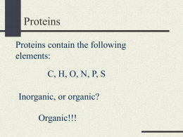 4-3 Proteins