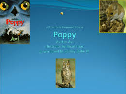 A Tale form Dimwood Forest Poppy Author Avi - tuomi10