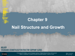 CHP 9 NAIL STRUCTURE SB REVIEW