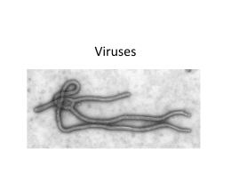 Virus+Bacteria - Groupfusion.net
