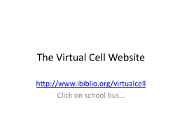 Virtual Cell Instructions and Website Info