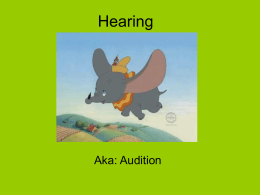 Hearing - AP Psychology Community