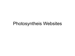 Photosyntheis Websites