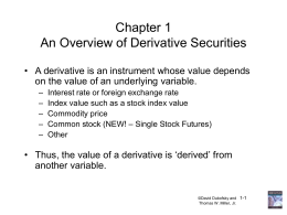 An Overview of Derivative Contracts