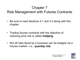 Risk Management with Futures Contracts