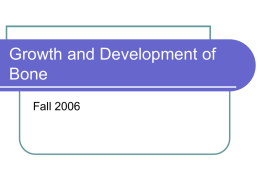 Growth and Development of Bone