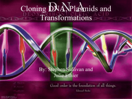 DNA Cloning Overview