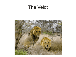 The Veldt - Deans Community High School