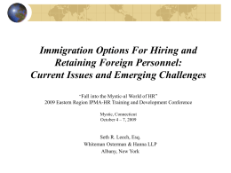 Immigration Options for hiring and retaining foreign personnel