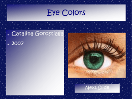Eye Colors