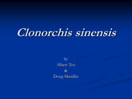 Clonorchis sinensis - Winona State University