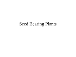 Lesson 22 and 24, Seed Bearing Plants