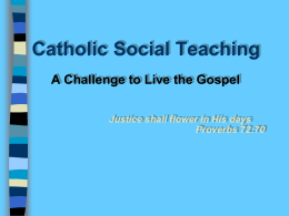 Catholic Social Teaching PowerPoint