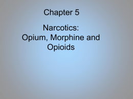 Opium, heroine and synthetic opiates