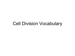 Slide 1