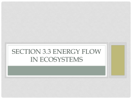 Section 3.3 Energy Flow in Ecosystems
