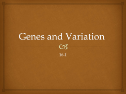 Genes and Variation