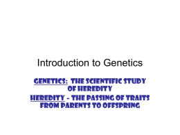 Chapter 11 * Introduction to Genetics