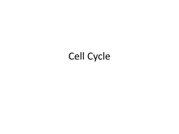Cell Cycle Review Questions