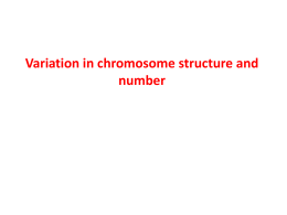 Variation in chromosome structure and number