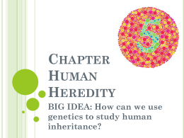 Chapter 14- Human Heredity BIG IDEA: How can we use genetics to