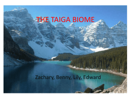 THE TAIGA BIOME