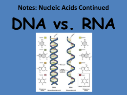 PROTEIN SYNTHESIS