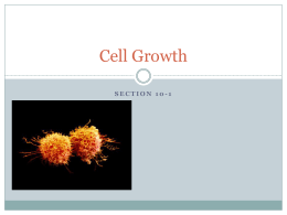 Cell Growth - ustarbiology