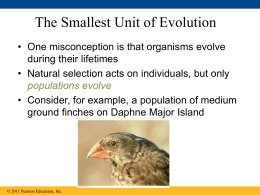 Overview: The Smallest Unit of Evolution