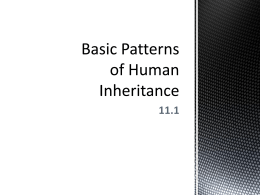 Basic Patterns of Human Inheritance