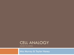 Cell Analogy Analogy to a School