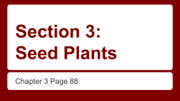 Section 3: Seed Plants