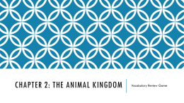 Chapter 2: The Animal Kingdom