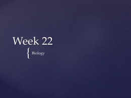 Week 22
