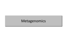 MS PowerPoint