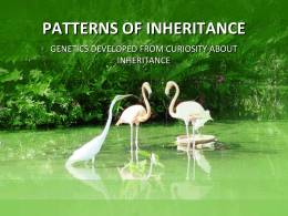 patterns of inheritance