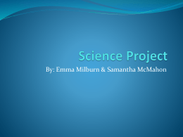 Science Project - rms