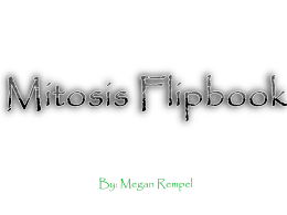 Mitosis Electronic Flipbook Example A