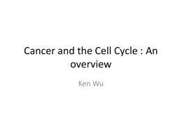 Cancer and the Cell Cycle : An overview